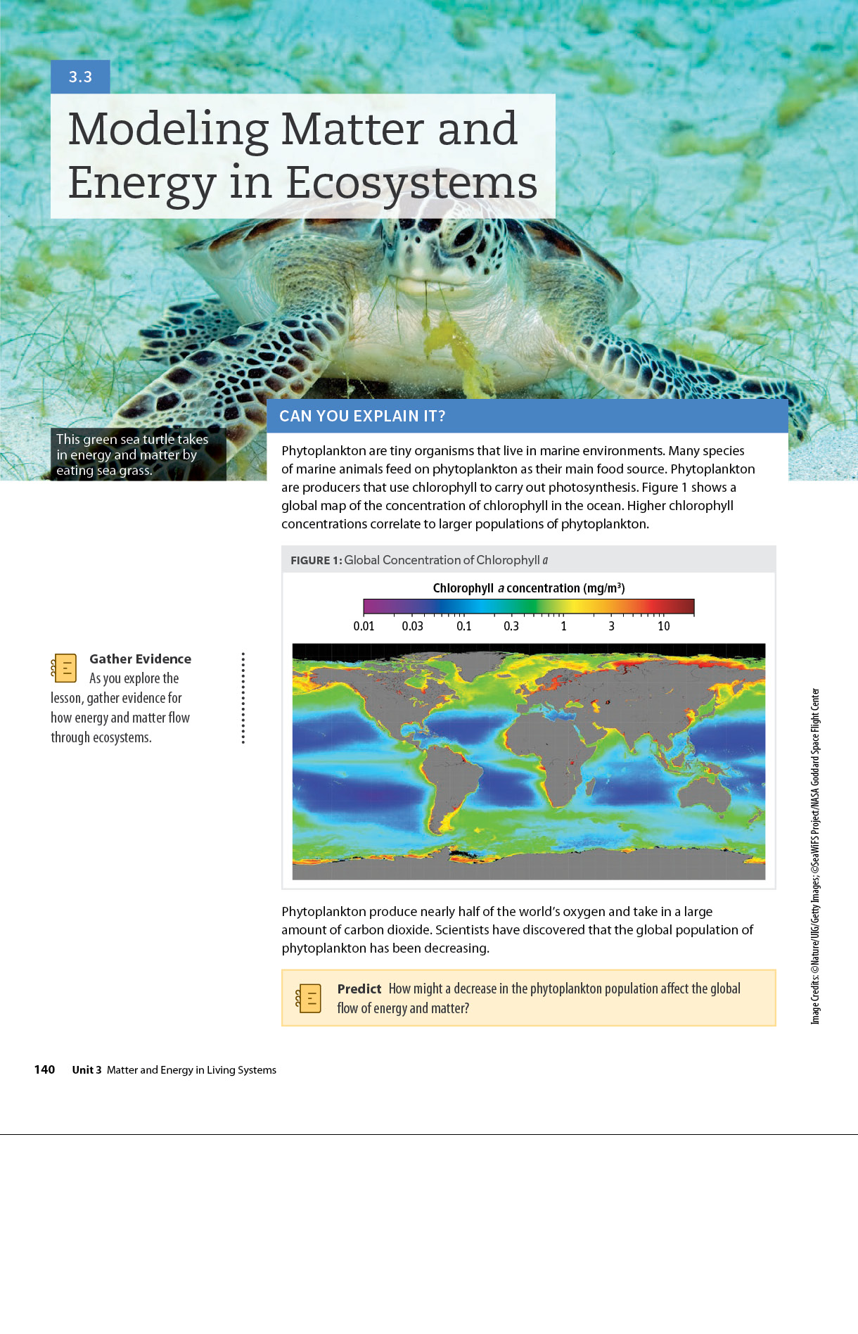 Sample biology page Dimensions Biology book about modeling matter and energy in ecosystems.