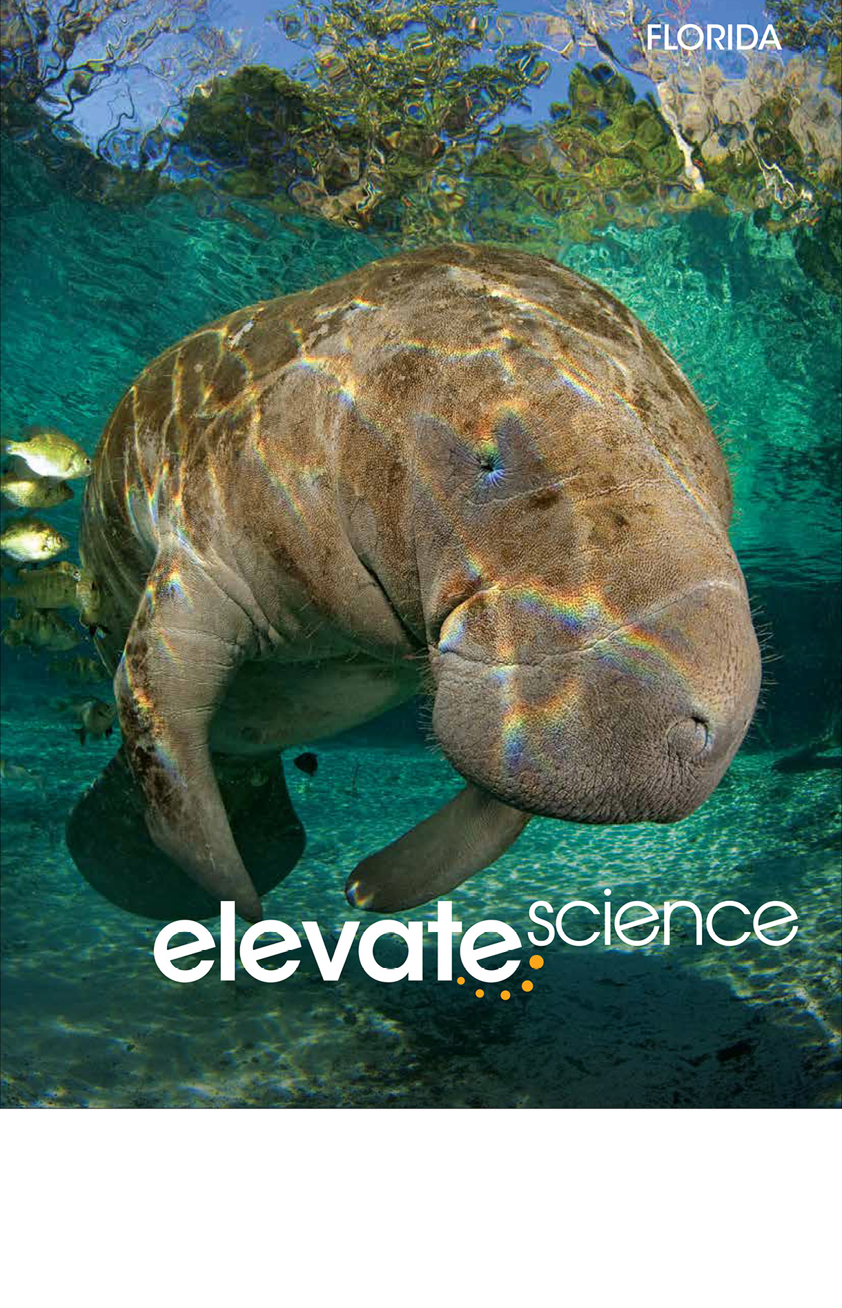 Book cover Elevate Science book. It has a manatee swimming.