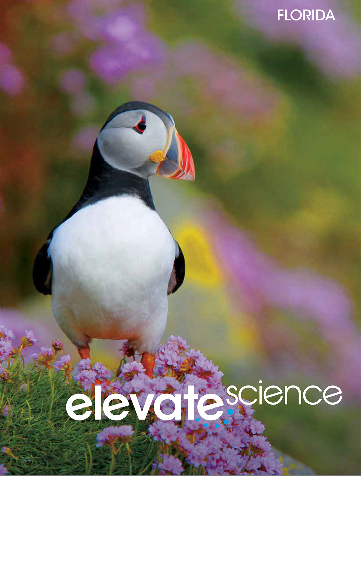 Book cover Elevate Science book. It has an American oystercatcher bird sitting on flowers.