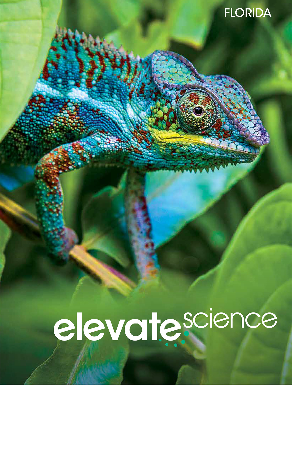 Book cover Elevate Science book. It has a blue iguana crawling through leaves.