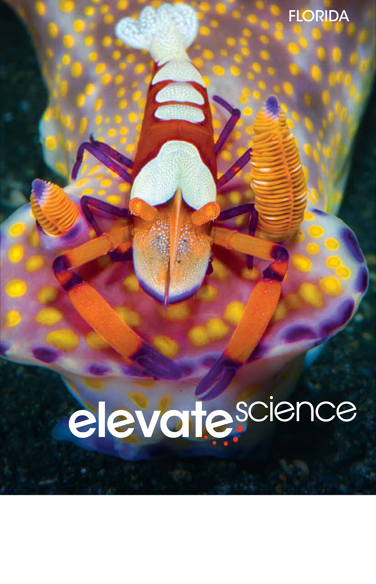 Book cover Elevate Science book. It has an emperor shrimp sitting atop a ceratosoma nudibranch.